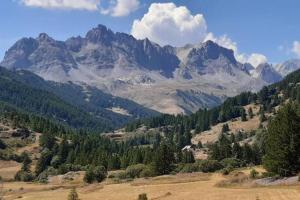 Appartements Appt a Ancelle pied des pistes : photos des chambres