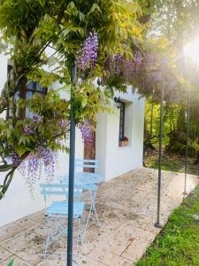 Maisons de vacances Gite O Lunain Nature et Riviere : photos des chambres