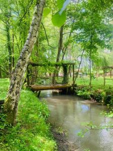 Maisons de vacances Gite O Lunain Nature et Riviere : photos des chambres