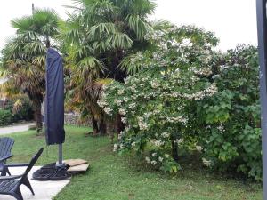 Maisons de vacances Bastida : photos des chambres