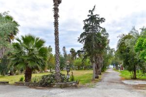 Barreira Beachfront Room 1