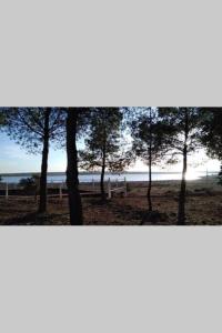 Casita de campo con vistas a una laguna