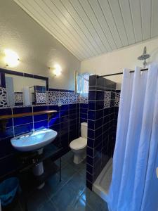 Appartements Residence VILLA MOROSI - Favone : photos des chambres