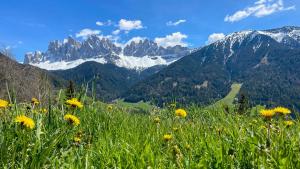 Schopplhof - panoramic apartments dolomites