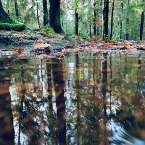 Panoramavy nära Gbg och natur