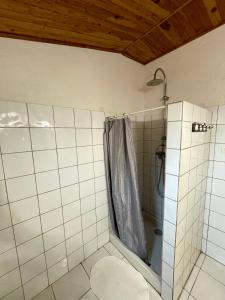 Appartements Residence VILLA MOROSI - Favone : photos des chambres