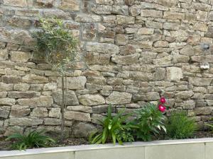 Villas Vannes centre a pied grande villa familiale : photos des chambres