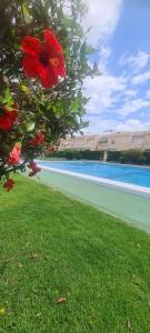 Bungalow avec piscine