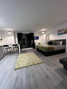 Cosy Studio Apartment- Hemel Hempstead High Street