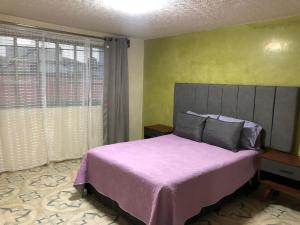 Suites Incoreli, Departamento 4