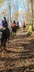 B&B di Giuseppe Pighi img11