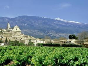 Maisons de vacances Le Mas Romarin : photos des chambres