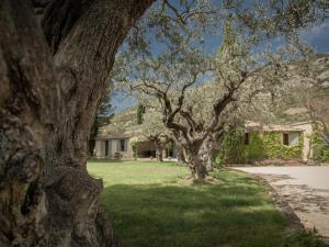 Maisons de vacances Le Mas Romarin : photos des chambres