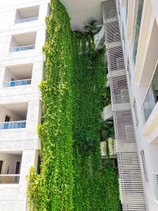 Apartamento morros con acceso directo a la playa