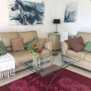 Appartements La Terrasse : photos des chambres