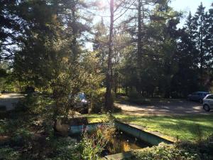 Ferien Suite Braunlage