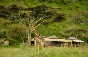 Esirai Camp - 巴纳吉