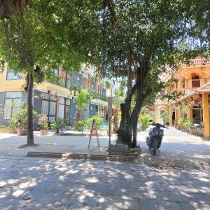 Tam Coc Mountain Lake Homestay