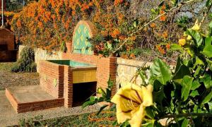 TODIMER FINCA ALPUJAREÑA