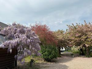 B&B / Chambres d'hotes Au Presbytere de Saigneville : photos des chambres