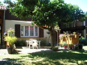 Maisons de vacances Gites Le Grand Jardin : photos des chambres