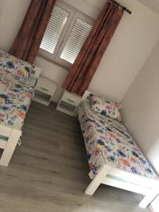 apartman B