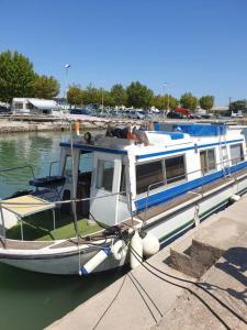Bateaux-hotels Studio bateau sur canal du midi : Mobile Home