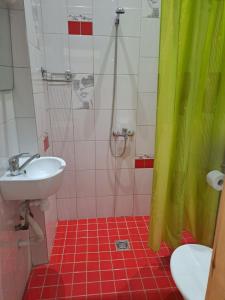 Spacy apartment in Kaunas center