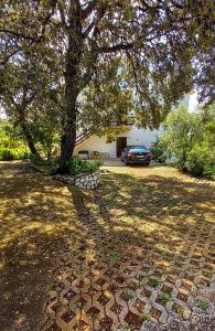 Apartments MULOBEDANJ