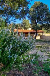 Apartments MULOBEDANJ