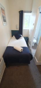 Standard Single Room room in Brooklands