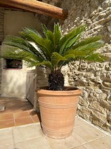 Villas Mas Provencal dans la colline : photos des chambres