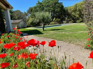 Villas Mas Provencal dans la colline : photos des chambres