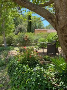 B&B / Chambres d'hotes L'Eveil en Provence : photos des chambres
