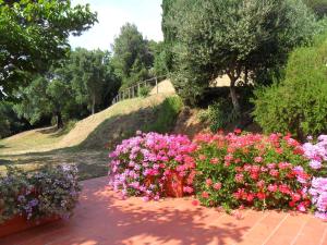 Appartamento con 2 Camere da Letto e Terrazza