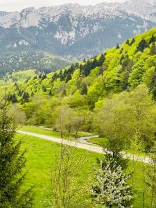 Casa Bucuriei - Plaiul Foii, Zărnești