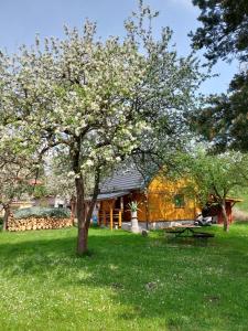 Domek Eva - Polanica Zdrój centrum