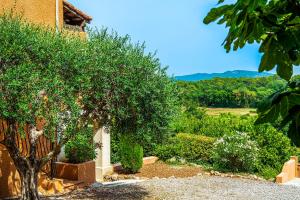 Appartements Les Terrasses de Figanieres : photos des chambres