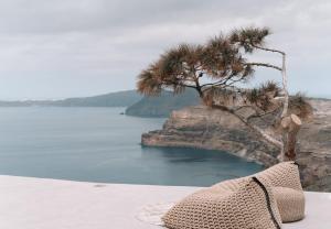 Nelya Suites