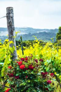 Funtana'e Mari img24