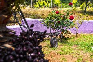 Funtana'e Mari img28