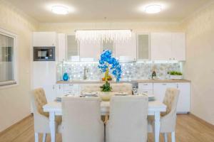 MyFlat Lux Penthouse