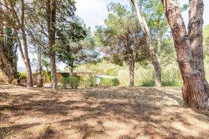 The Old Mill with Private Garden and Torrent