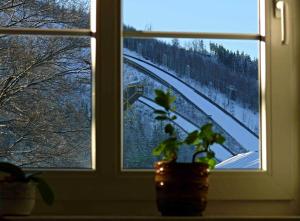 Dame vam pokoj - 4 pokoje se sdilenou kuchyni, kapacita max 9 osob