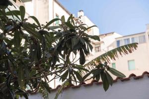 Appartamento G10 img39