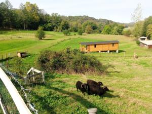 Chalets Roulotte toute equipee : photos des chambres