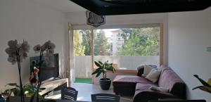 Appartements Appartement des Cygnes : photos des chambres