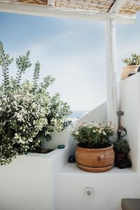 Kalyva Cycladic house - Oia Santorini