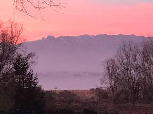 Vic&Sunnys lake view apartment