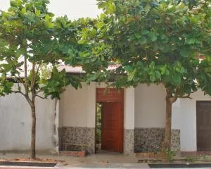 Casa Albina - Limón